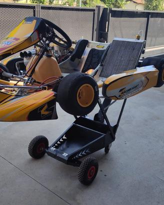Kart  kz Taglienti Passion