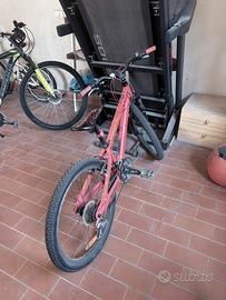 bici 24 scott