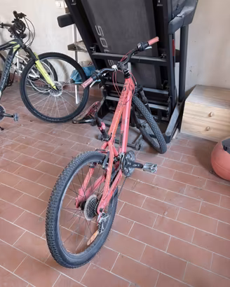 bici 24 scott