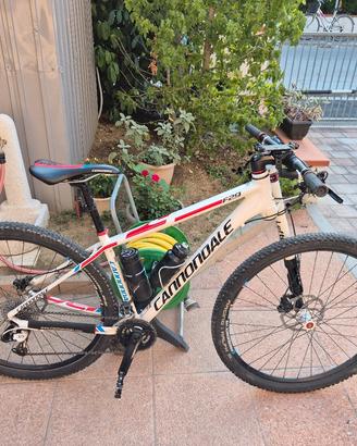 CANNONDALE 29 