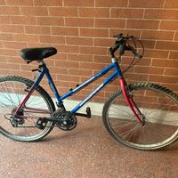 Bici mountain bike Top Gun 7000