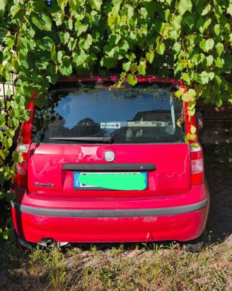 Fiat panda 1.2 benzina