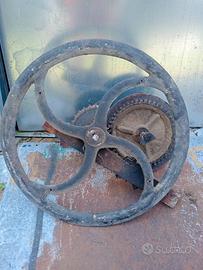 allestimento giardino 