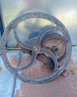 allestimento giardino 