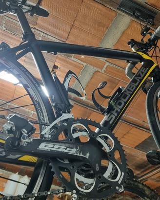 Bici corsa shockblaze alu