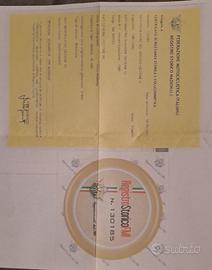 Honda XL 600 RM - 1989 - STORICA