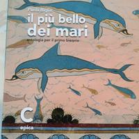 libro IL PIÙ BELLO DEI MARI C epica
