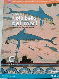 libro IL PIÙ BELLO DEI MARI C epica