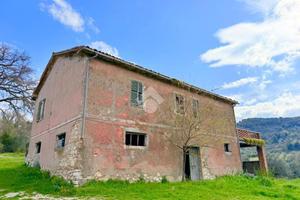 RUSTICO A COTTANELLO