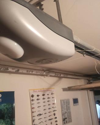 Motore garage basculante Came