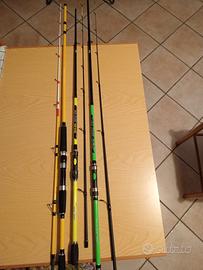 Canne da Spinning 