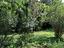 Immagine 14