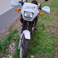 Honda dominator