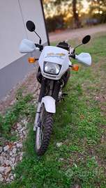 Honda dominator