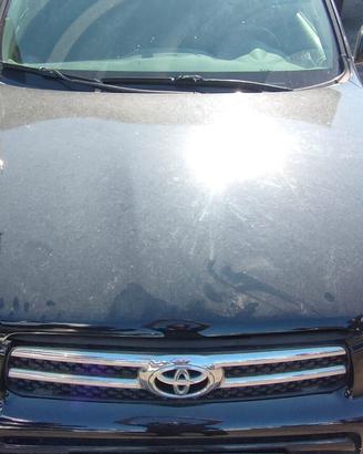 TOYOTA RAV 4 2010 COFANO ANTERIORE