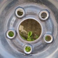 4 cerchi e 4 copricerchi VW