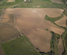 Terreno Santacaterina/casenuove 12 ettari