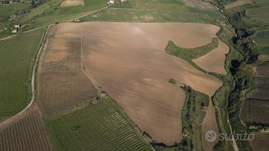 Terreno Santacaterina/casenuove 12 ettari
