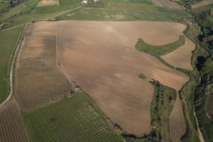 Terreno Santacaterina/casenuove 12 ettari