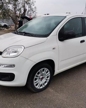 Fiat Panda 1.2 Easy 69cv