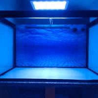 Acquario 240 litri