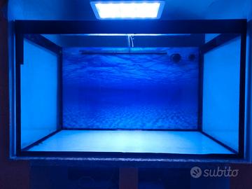 Acquario 240 litri