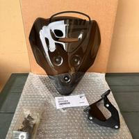 Cupolino streetfighter v4/v2