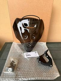 Cupolino streetfighter v4/v2