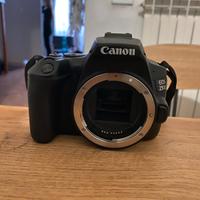 Canon EOS 250D - Canon 50mm 1:1.8 - Canon 24mm