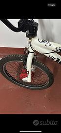 Bici BMX da freestyle