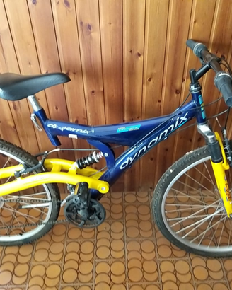 Mountain bike