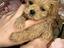 Immagine 4