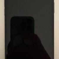 IPHONE 11 PRO MAX 256 GB