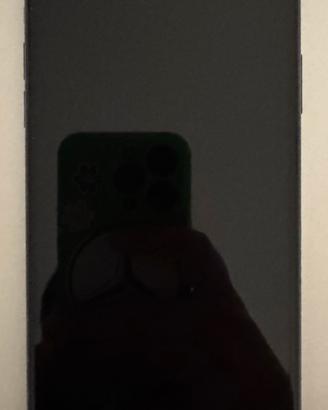 IPHONE 11 PRO MAX 256 GB