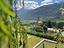 Immagine 19