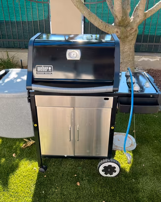 Barbecue Genesis silver Weber
