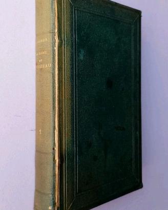 LA DAME DE MONSOREAU VOL. 1 - A. Dumas - 1885