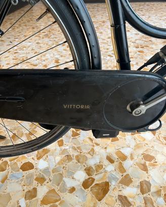 Bici Mosquito