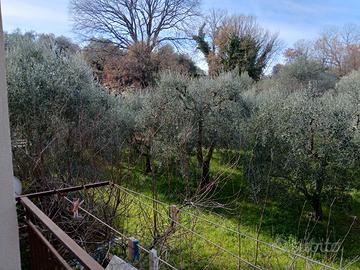 Villetta indipendente con terreno