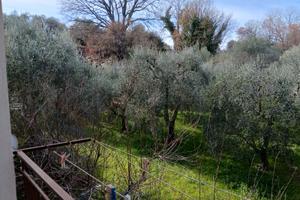 Villetta indipendente con terreno