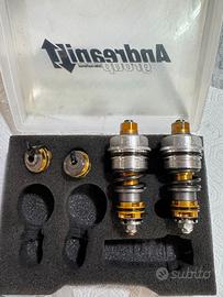 Yamaha R6 08/16 Kit pistons Ohlins forcella