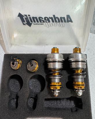 Yamaha R6 08/16 Kit pistons Ohlins forcella
