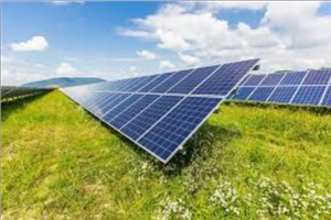 Terreno da 1 a 2 ettari