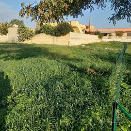 Terreno località Bagnara, Lizzano