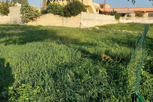 Terreno località Bagnara, Lizzano