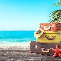 Direttore tecnico di agenzia di viaggi e turismo