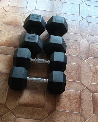 Pesi palestra
