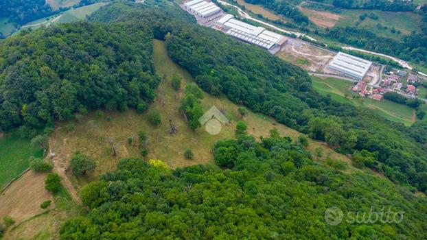 TER. AGRICOLO A BADIA CALAVENA