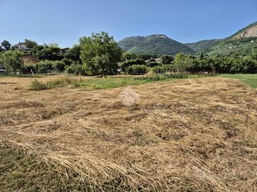 TER. RESIDENZIALE A SEGNI