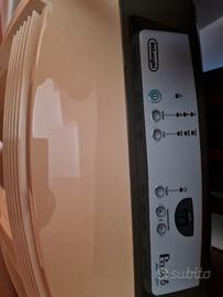 Condizionatore pinguino